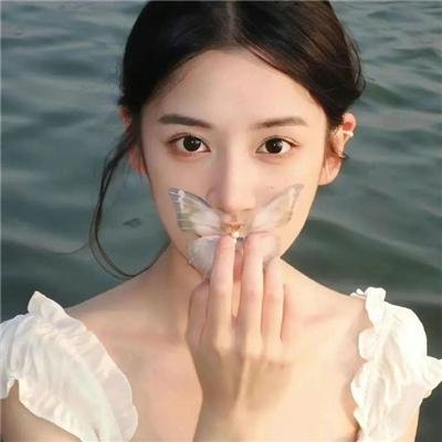 约见波布 海报